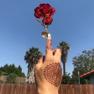 Meet your Posher, Duaa